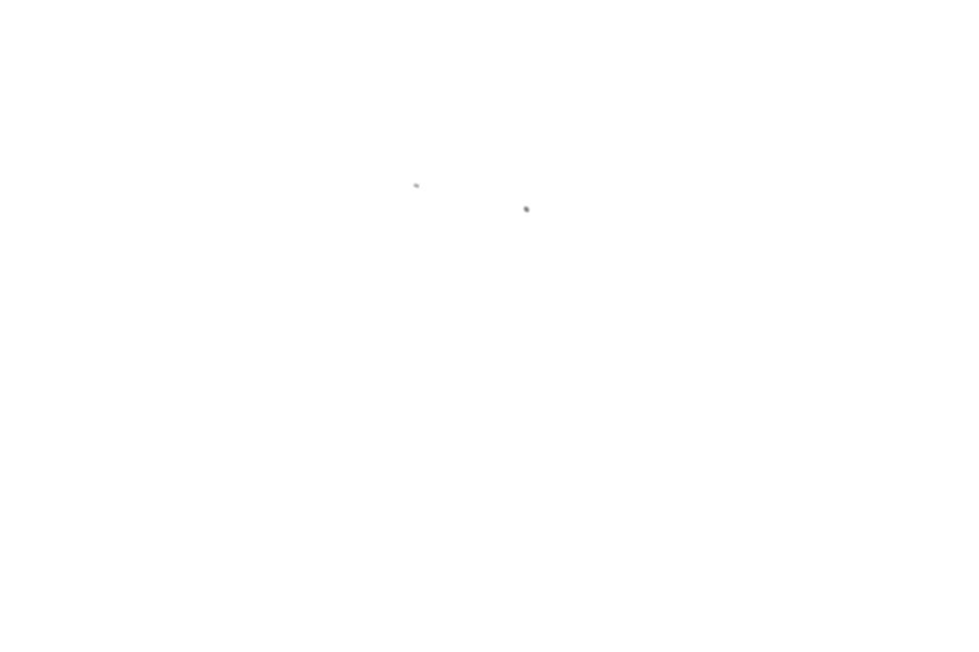 Image 52